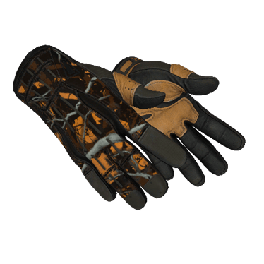 ★ Sport Gloves | Big Game (Field-Tested)
