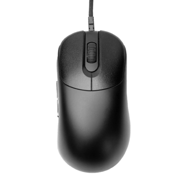VAXEE ZYGEN NP-01