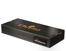 DreamHack 2013 Souvenir Package