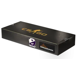DreamHack 2014 Cobblestone Souvenir Package