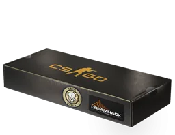 DreamHack 2014 Dust II Souvenir Package
