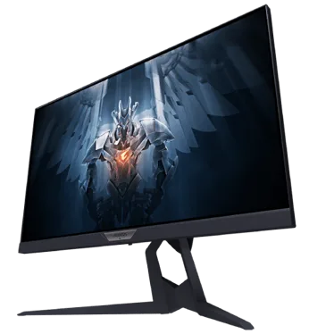 GIGABYTE AORUS FI25F