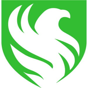 Falcons Esports