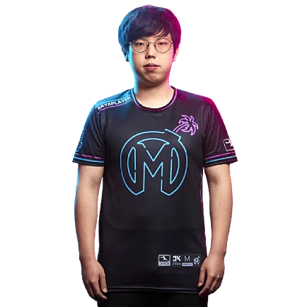 Sayaplayer