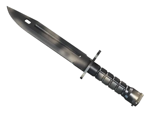 ★ Bayonet | Scorched