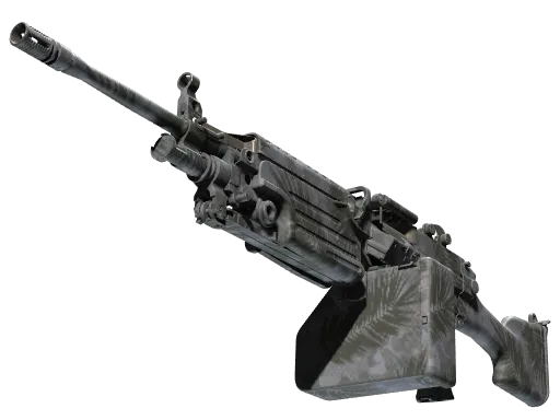 M249 | Полуночная пальма