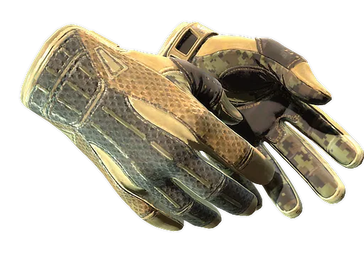 ★ Sport Gloves | Arid