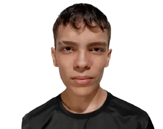 L1