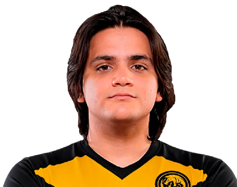 martote — Martin Rafael Añaña Gomez