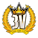 3V TEAM