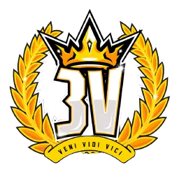 3V TEAM