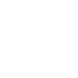 Arctic Pandas