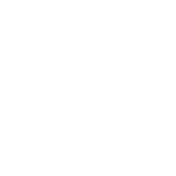 BRUTE