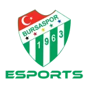 Bursaspor Esports