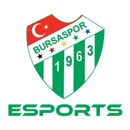 Bursaspor Esports