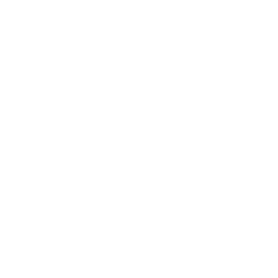 Crusaders Esports