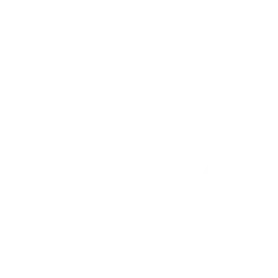 Cyber Wolves Esports