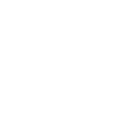 Dewish Team