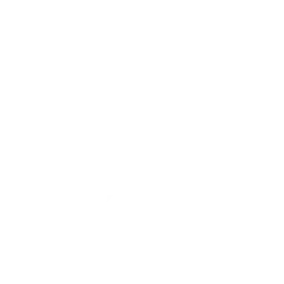 Dewish Team