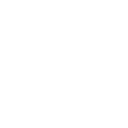 Dream Esports