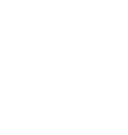 DSYRE