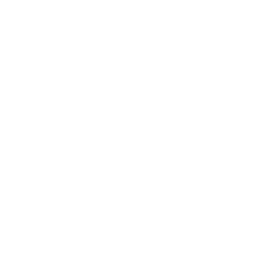 DV1 inStreamly