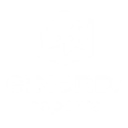 Ei Nerd Esports