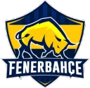 Fenerbahçe Espor
