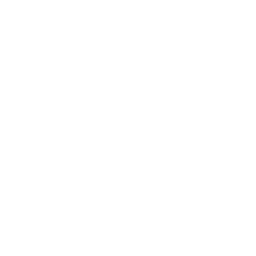 FL Academy