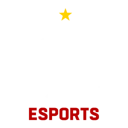 Flamengo Academy