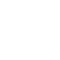 Fluxo Academy