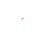 G2 Esports