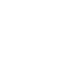 GIANTX