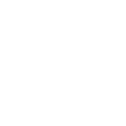 GIANTX