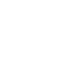 IDL Esports