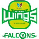 Jin Air Green Wings Falcons