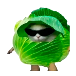 Lechuga Gaming