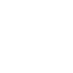 Lynch Esports