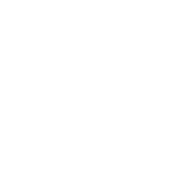 Mad Kings