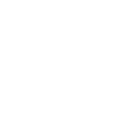 MEGA Esports