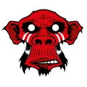 Mysterious Monkeys