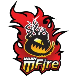NaJin e-mFire