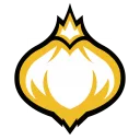 Onion Team