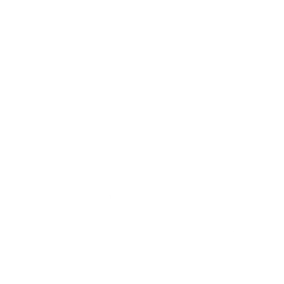 Polar Squad