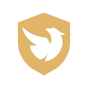 Reven Esports