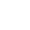 QT DIG