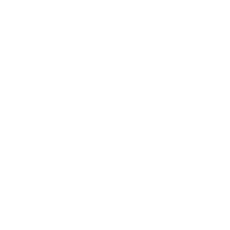 QT DIG