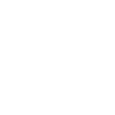 Shopify Rebellion