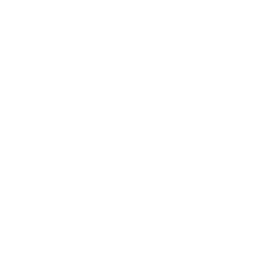 Shopify Rebellion
