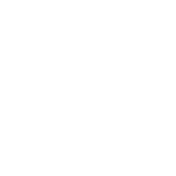 SK Gaming